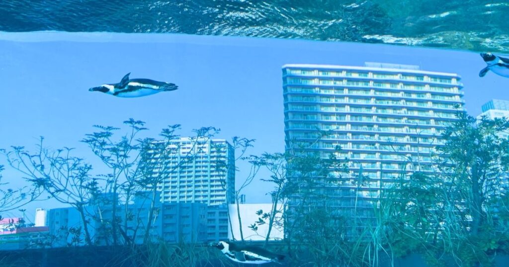サンシャイン水族館の池袋の街を背景に空を飛ぶペンギン
