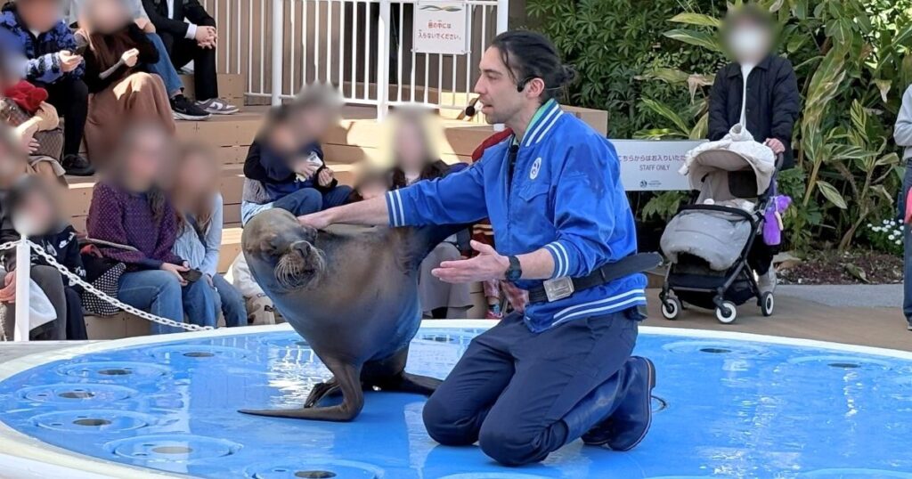 サンシャイン水族館のアシカトレーニング