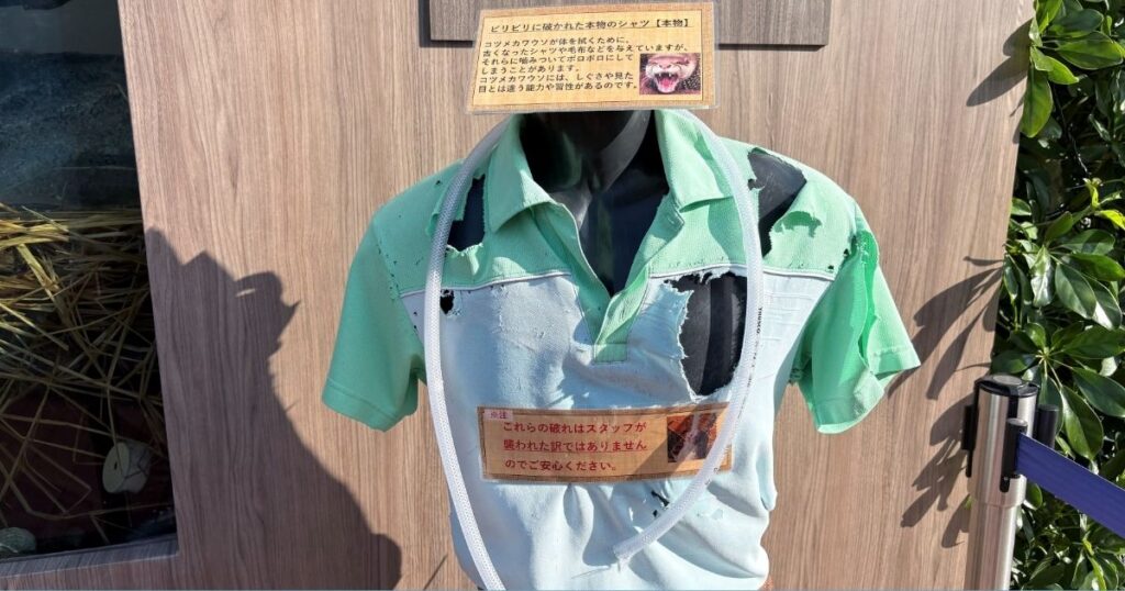 サンシャイン水族館のコツメカワウソにビリビリに破かれたシャツ